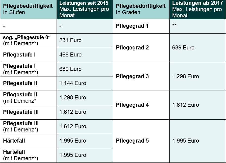 Pflegedienstleistungen der Pflegeversicherung